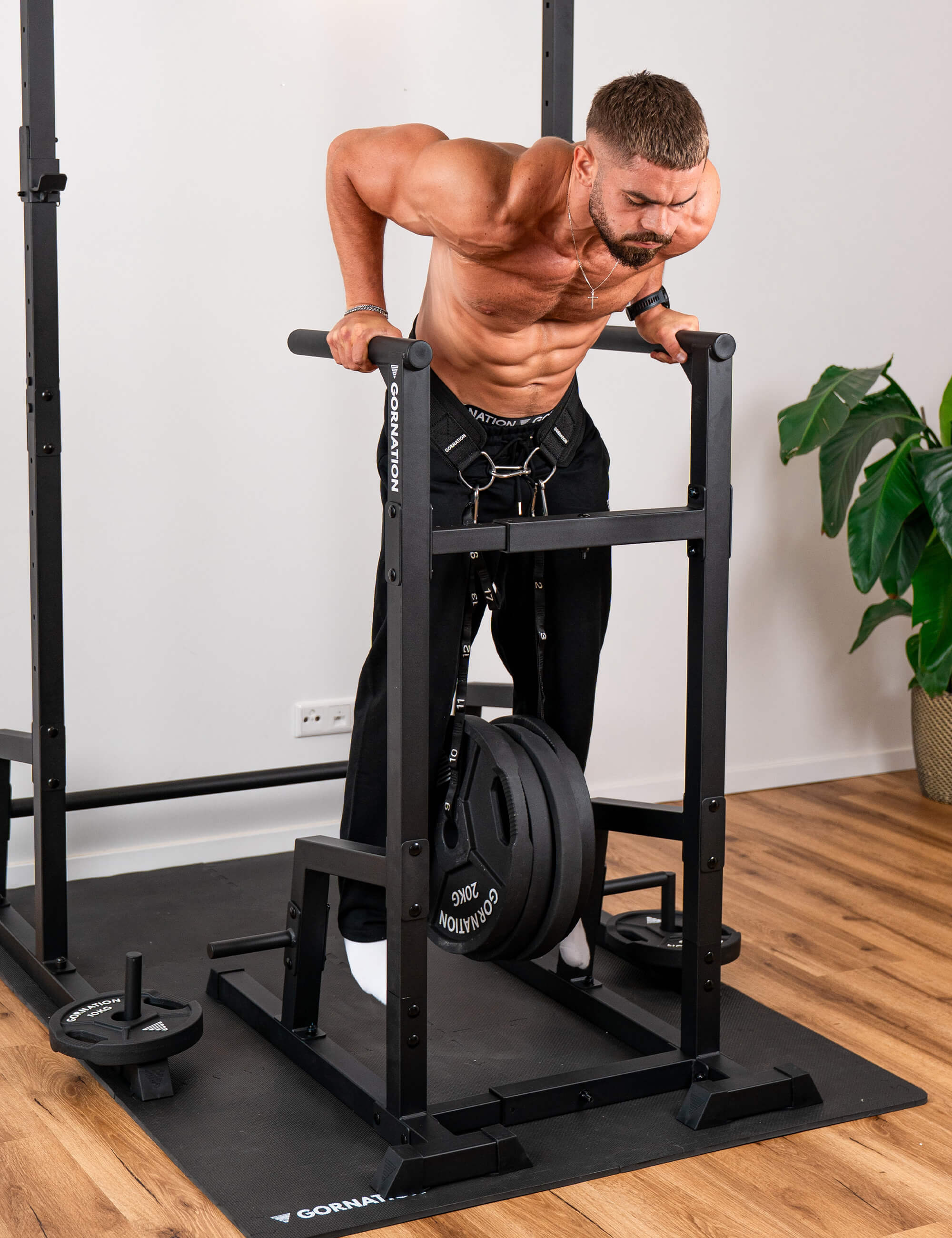 Premium Dip Station - Image 45