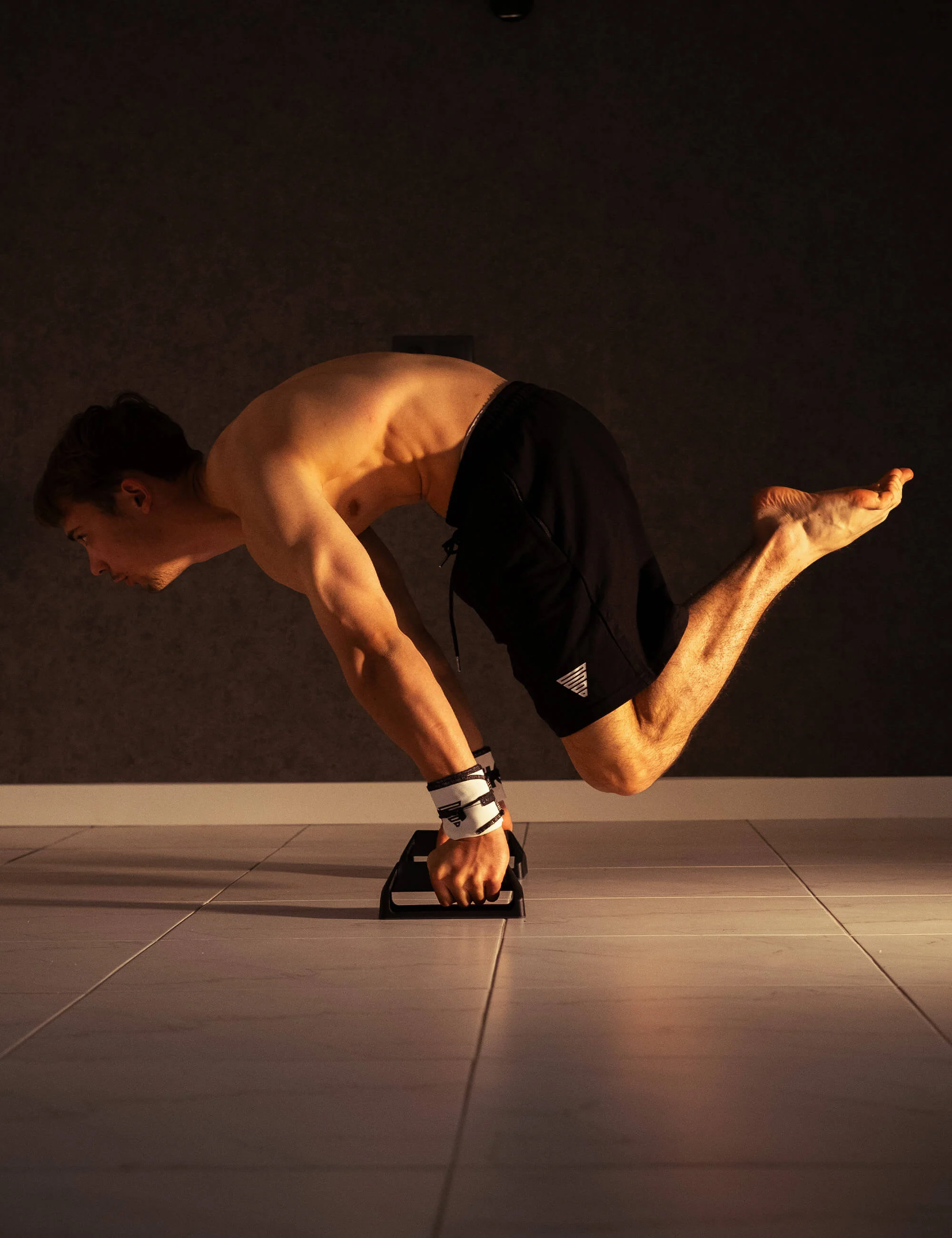 Push Up Bars - Image 10